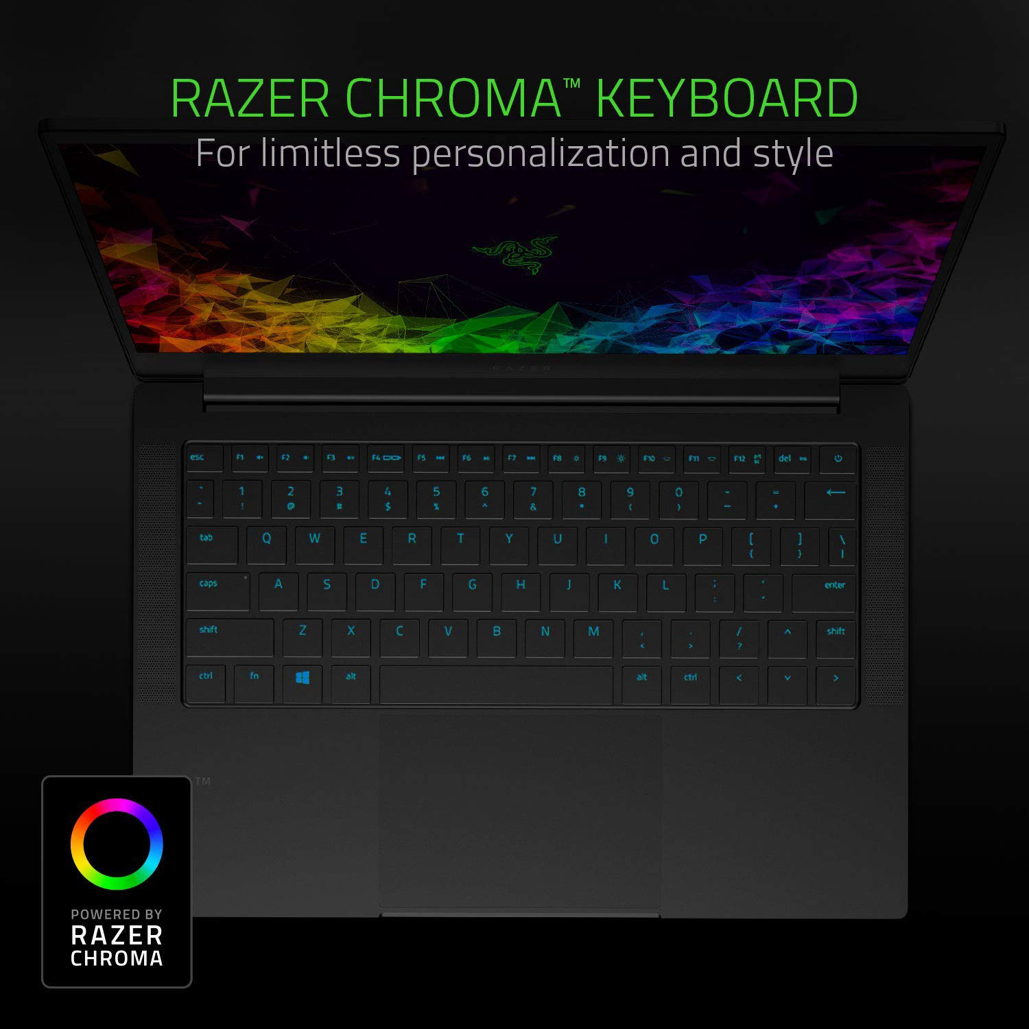 Razer Blade Stealth 13 Ultrabook Laptop: Intel Core i7-8565U 4-Core, GeForce MX150, 13.3" FHD 1080p, 16GB RAM, 256GB SSD - CNC Aluminum - Chroma RGB Lighting - Thunderbolt 3 Compatible